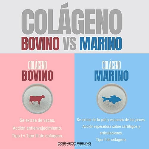 Colagenos Colagenos