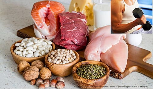 Proteinas Proteinas